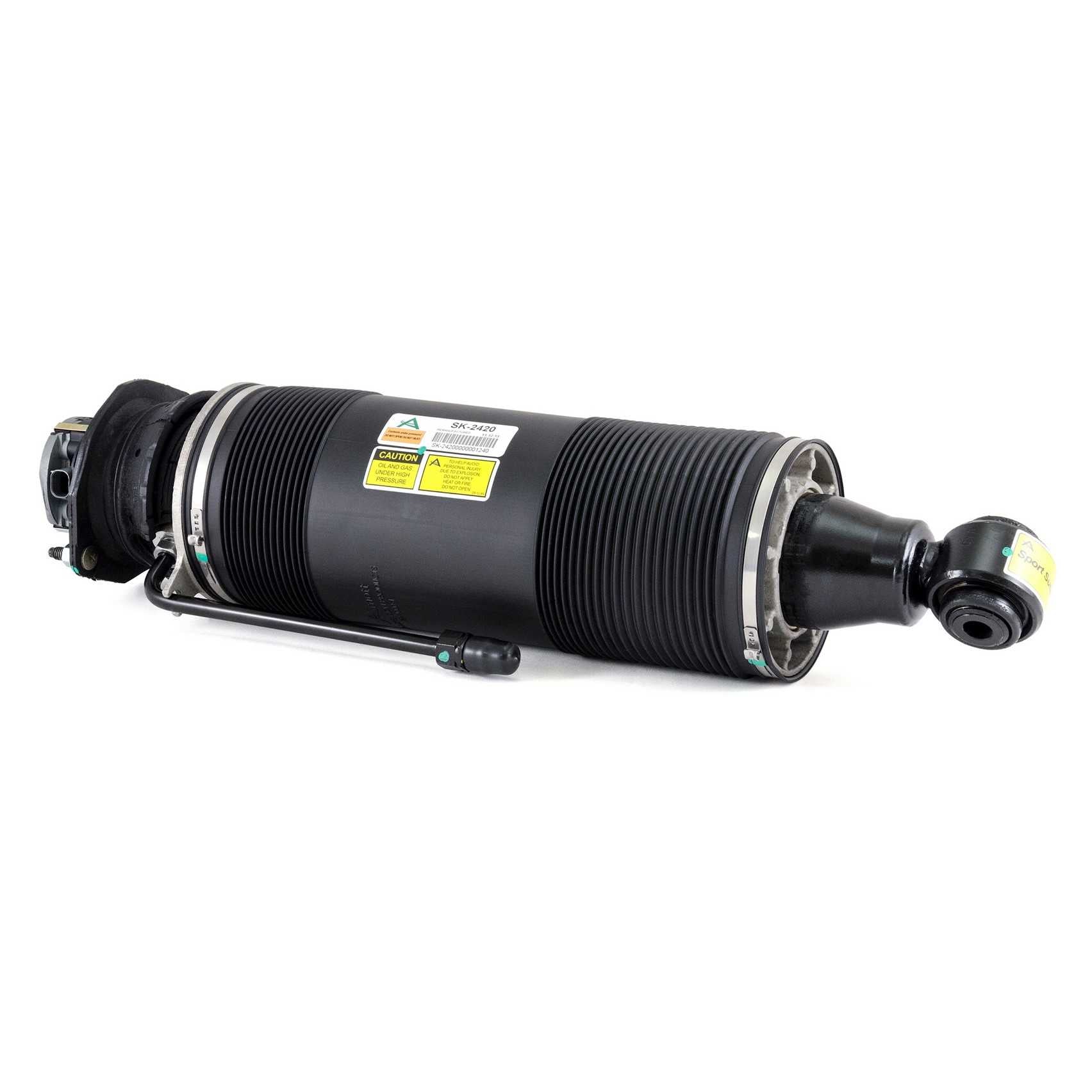 Arnott Industries Suspension Strut Assembly