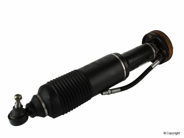 Arnott Industries Suspension Strut Assembly