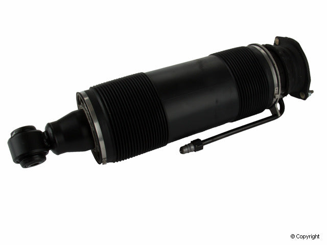 Arnott Industries Suspension Strut Assembly