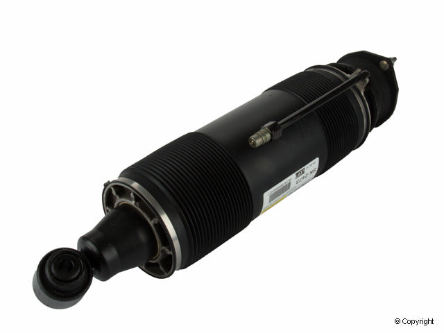 Arnott Industries Suspension Strut Assembly