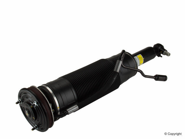 Arnott Industries Suspension Strut Assembly