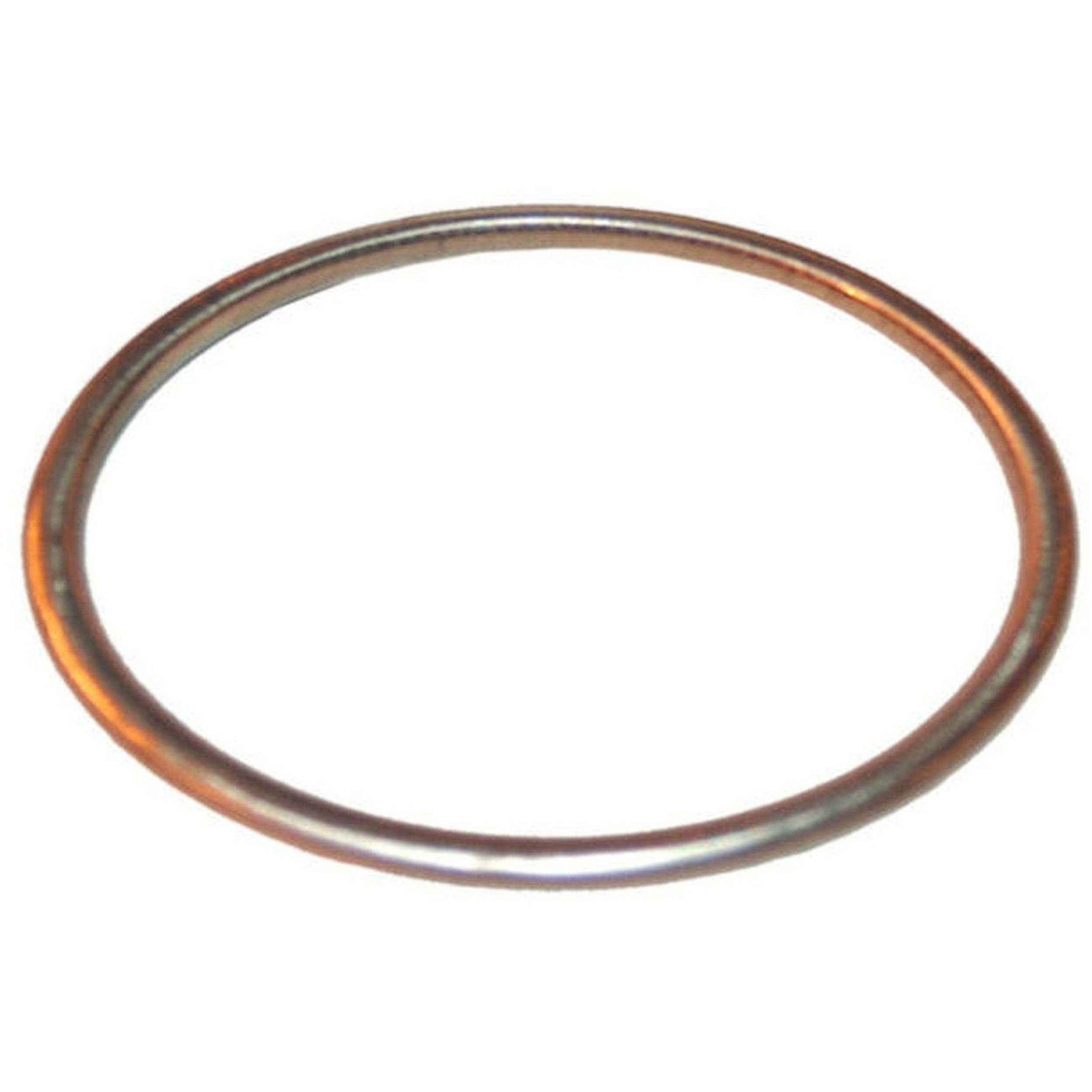 BRExhaust Exhaust Pipe Flange Gasket 256-1103