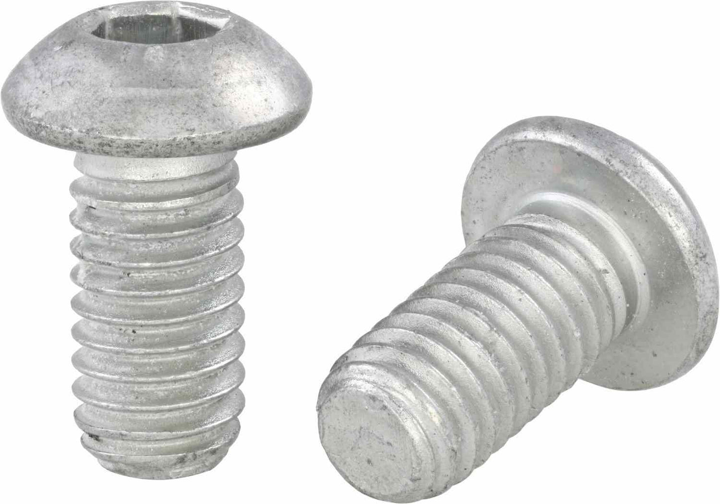 Brembo Disc Brake Rotor 08.5569.21