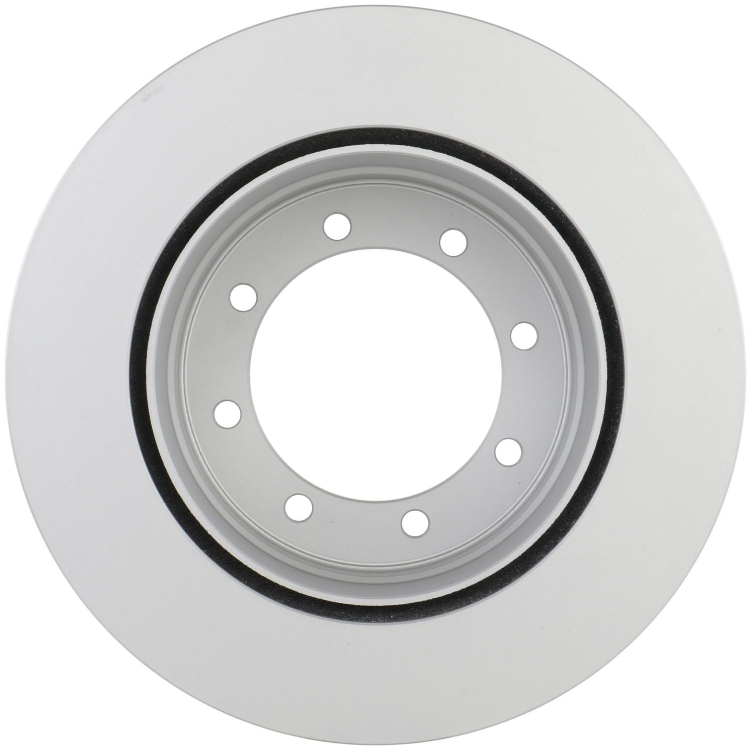 Bosch Disc Brake Rotor 20010455