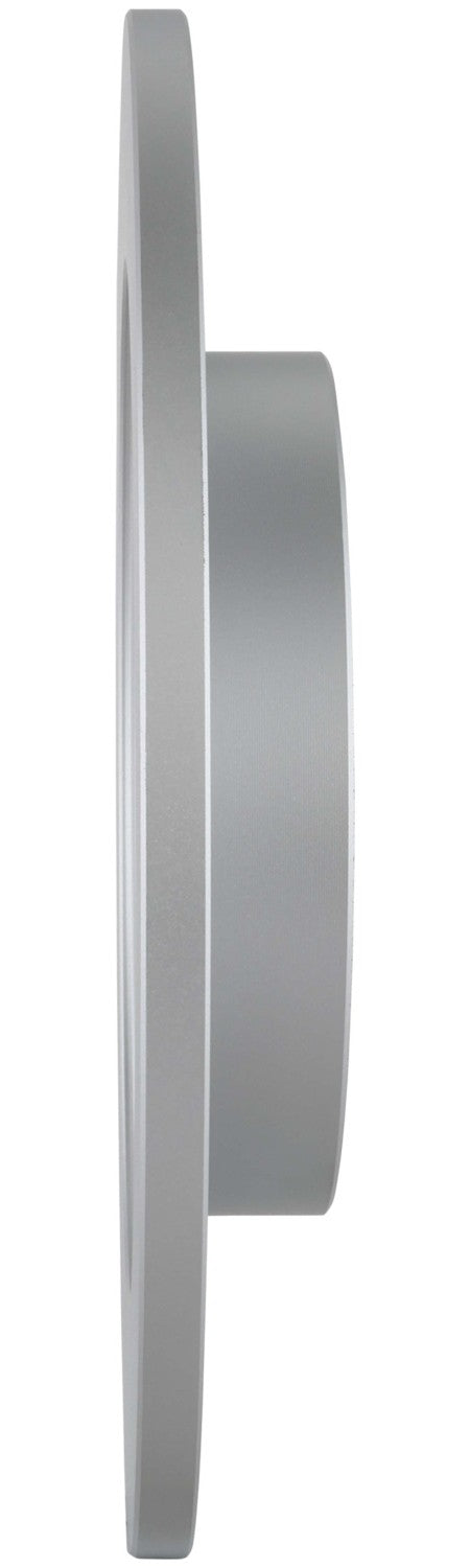 Bosch Disc Brake Rotor 25010566