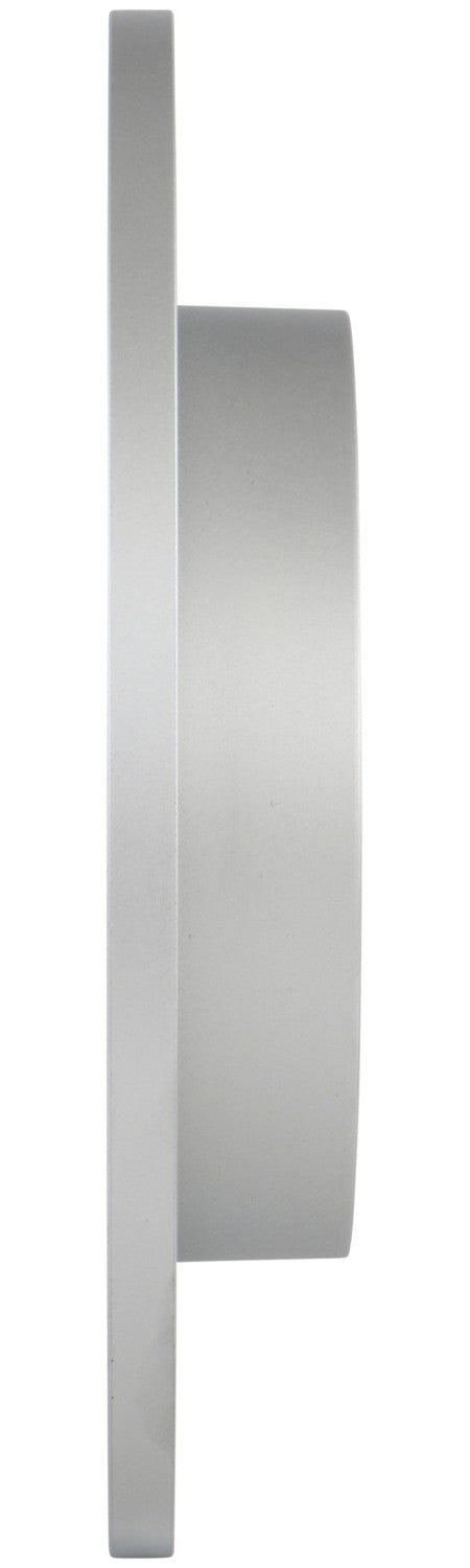 Bosch Disc Brake Rotor 34010902