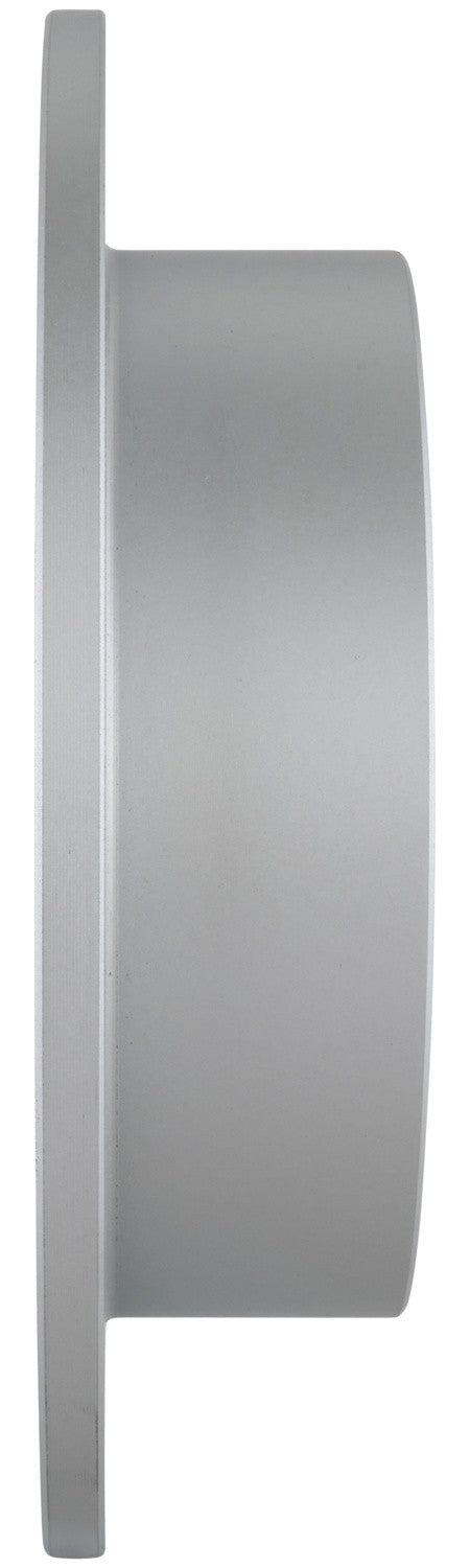 Bosch Disc Brake Rotor 38011012