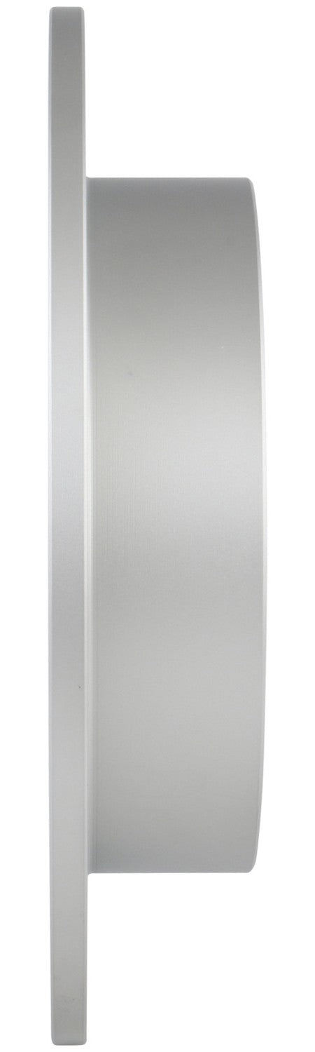 Bosch Disc Brake Rotor 38011016