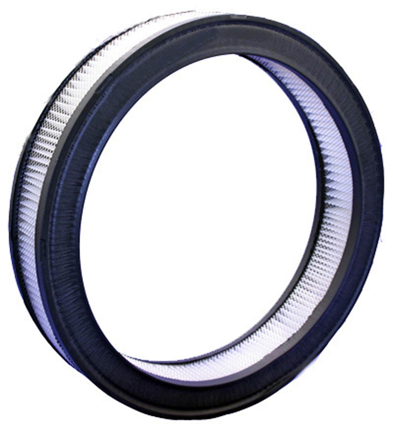 Bosch Air Filter 5453WS