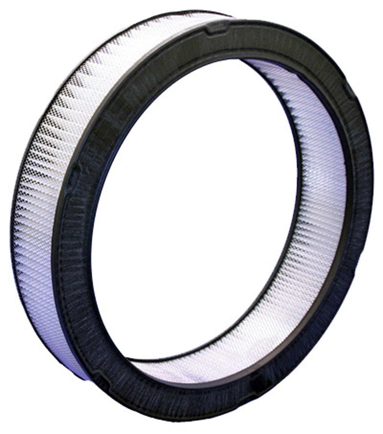 Bosch Air Filter 5545WS