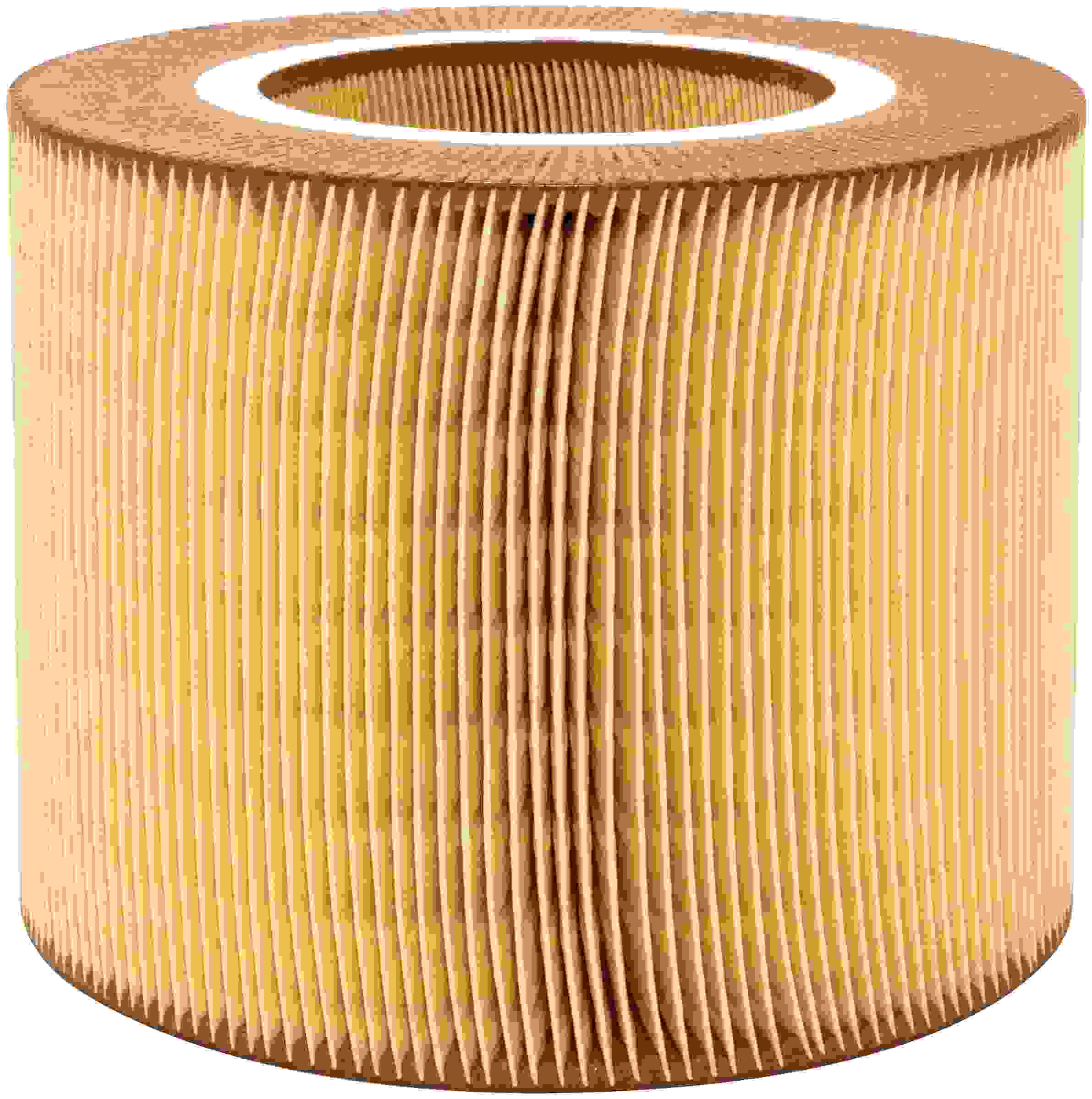 Baldwin Air Filter PA10123