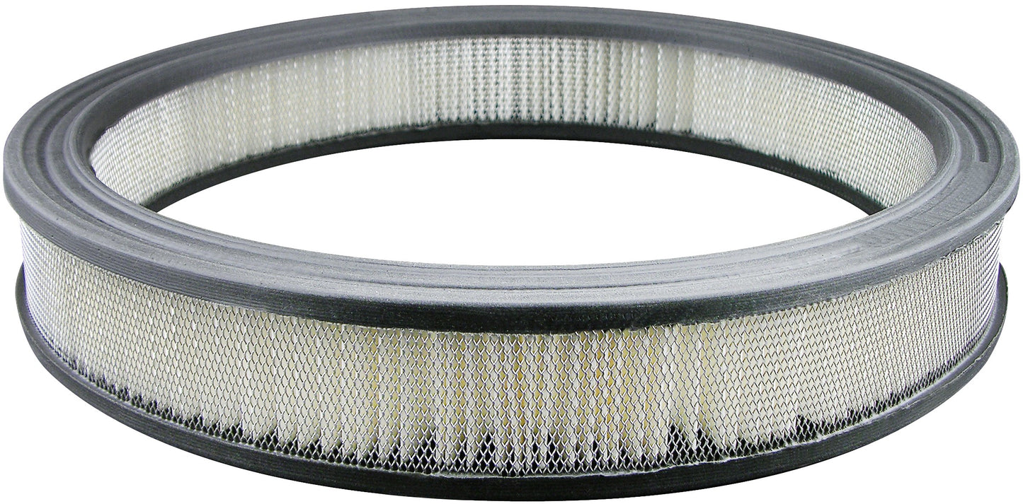 Baldwin Air Filter PA1828