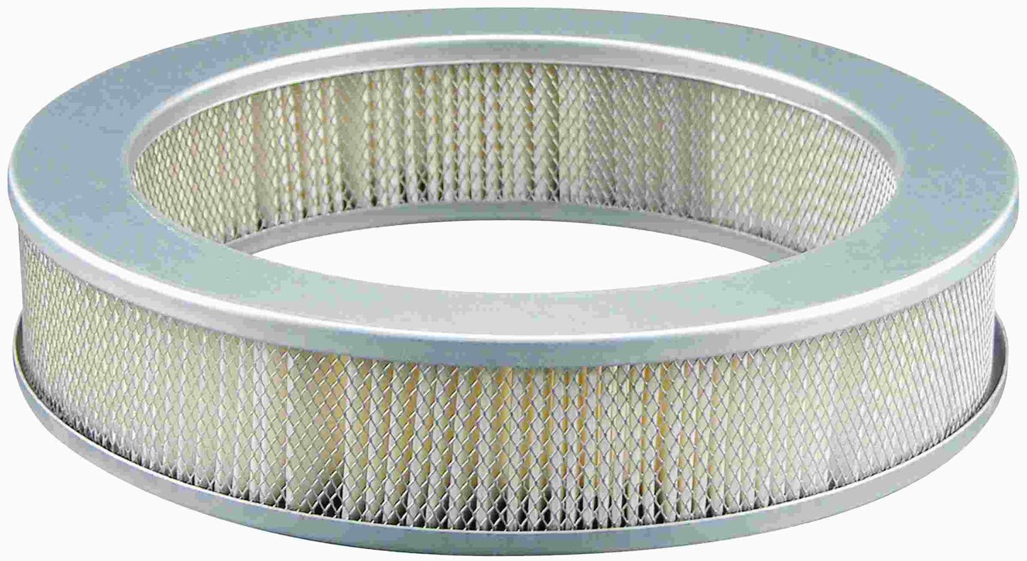 Baldwin Air Filter PA2031