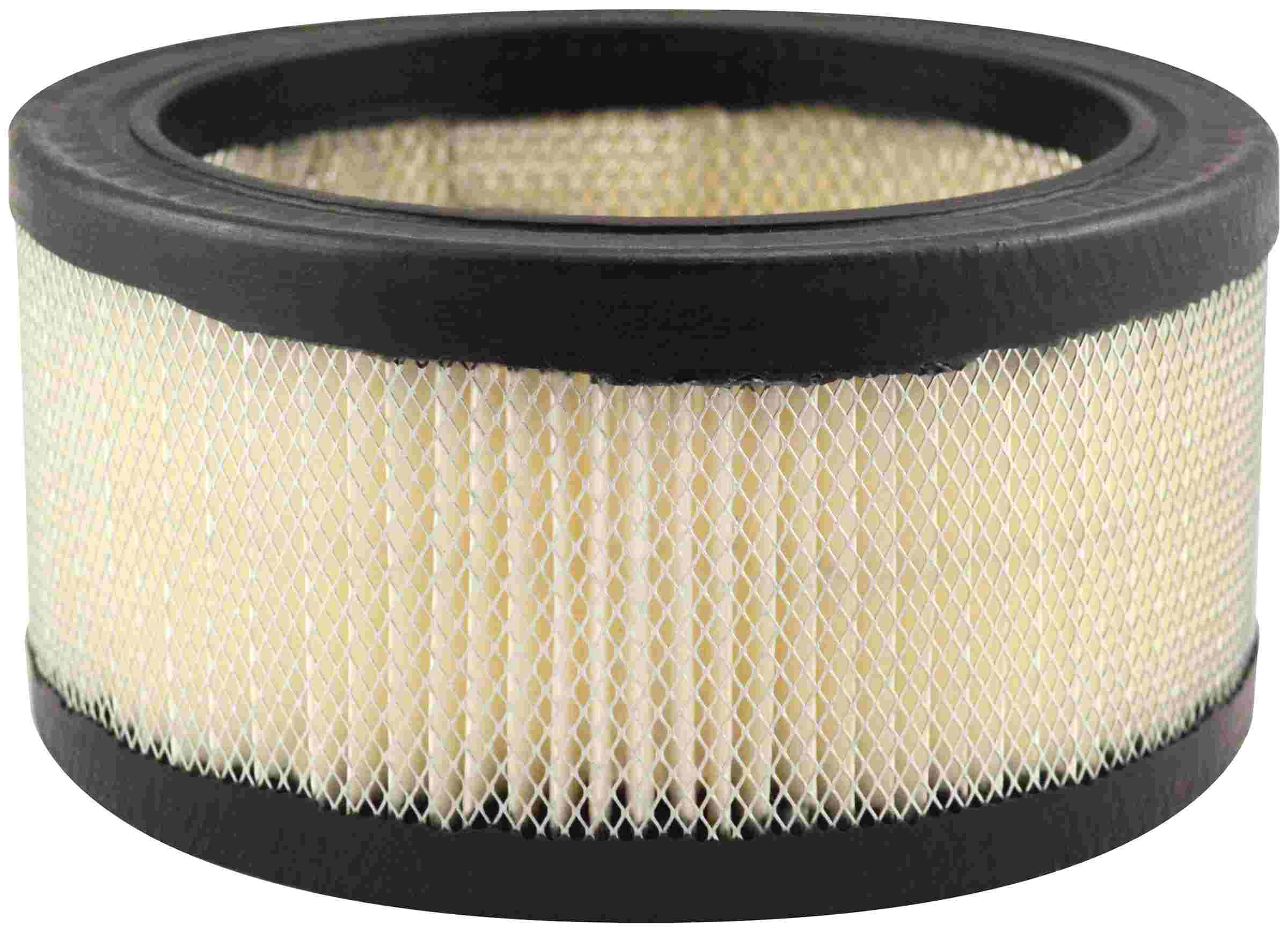 Baldwin Air Filter PA2067