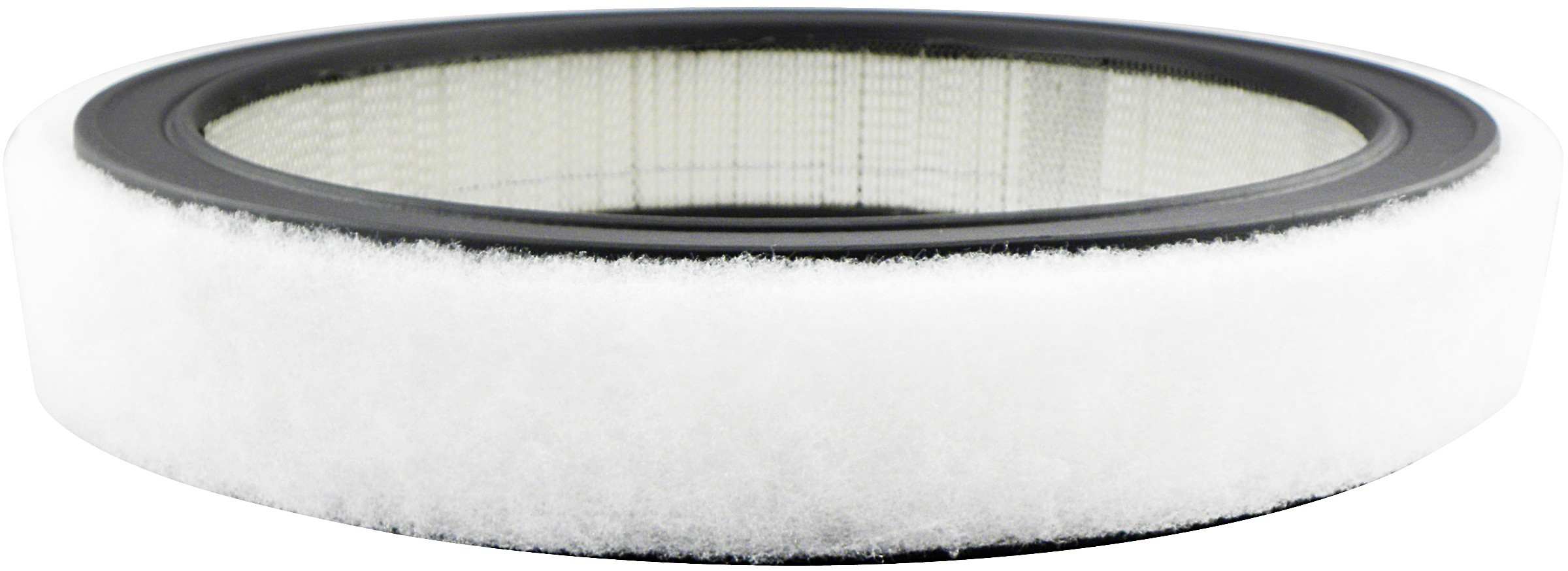 Baldwin Air Filter PA2110