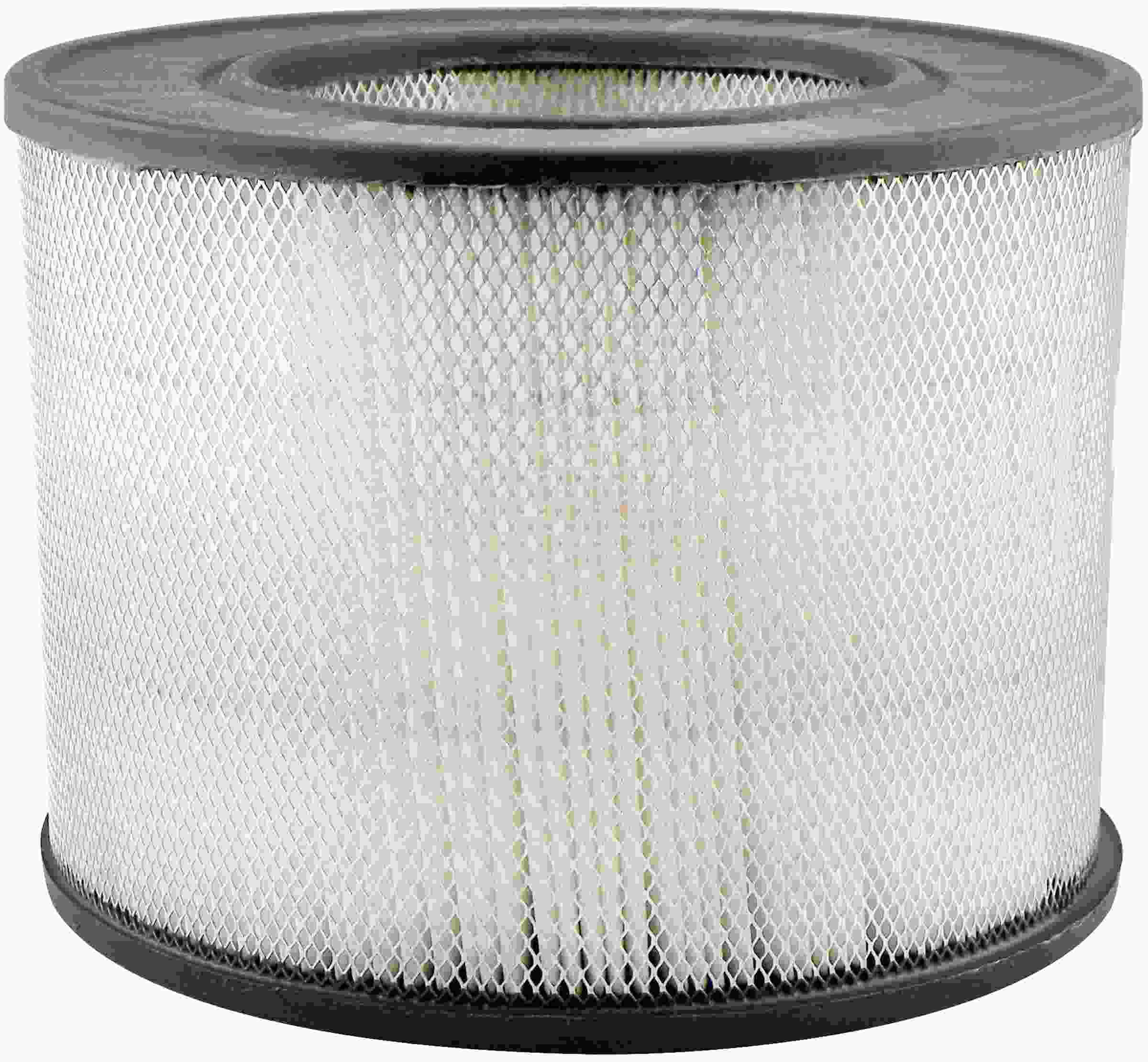 Baldwin Air Filter PA2156