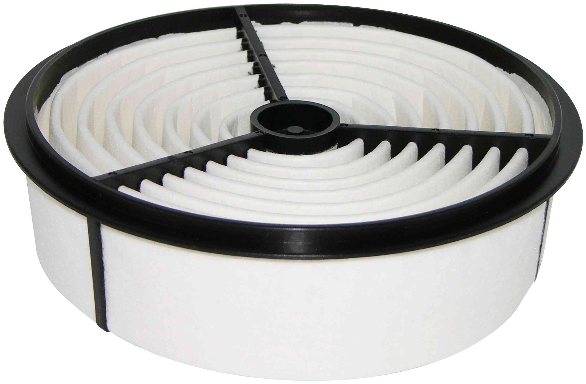 Baldwin Air Filter PA2171