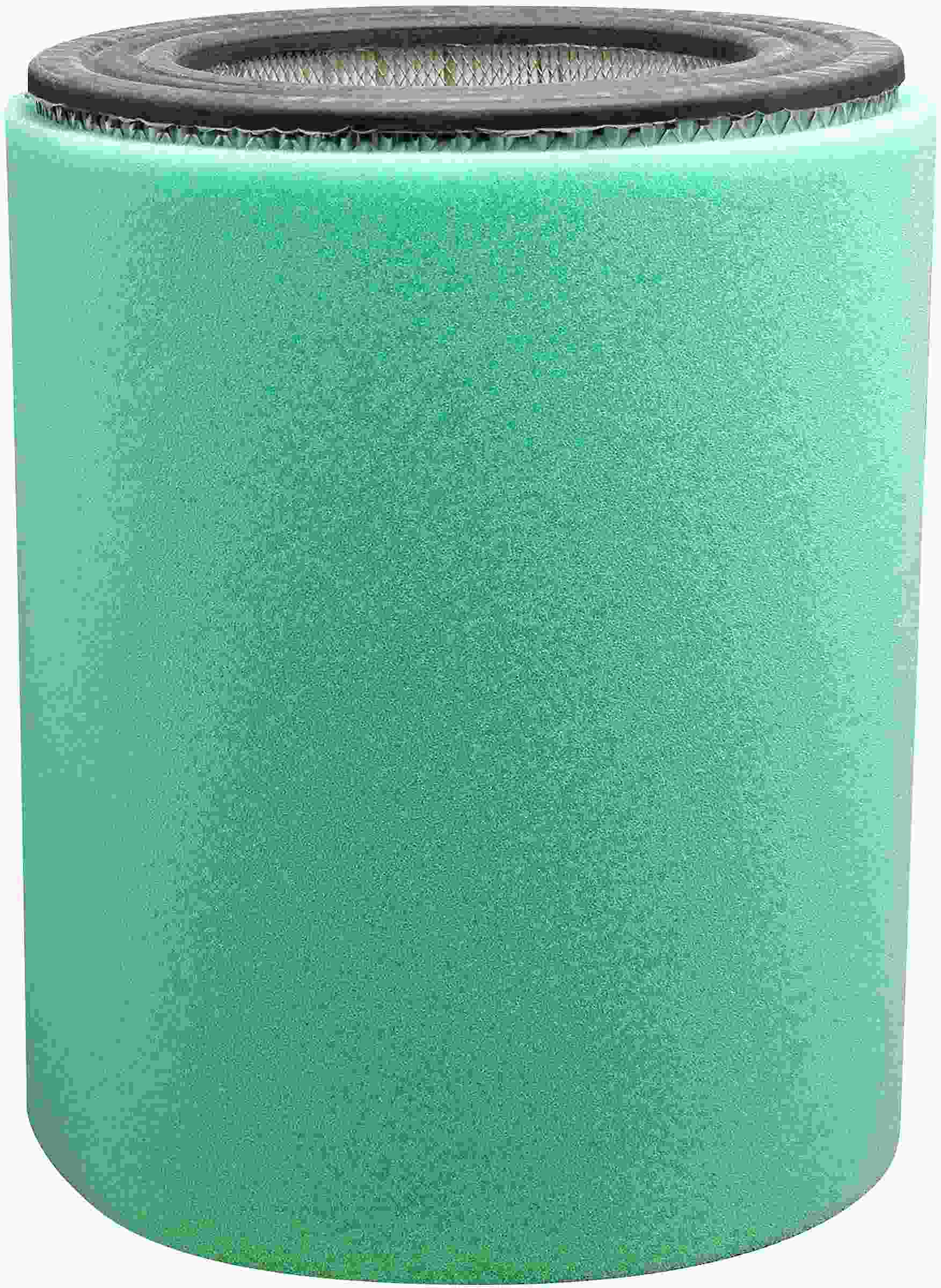 Baldwin Air Filter PA3956