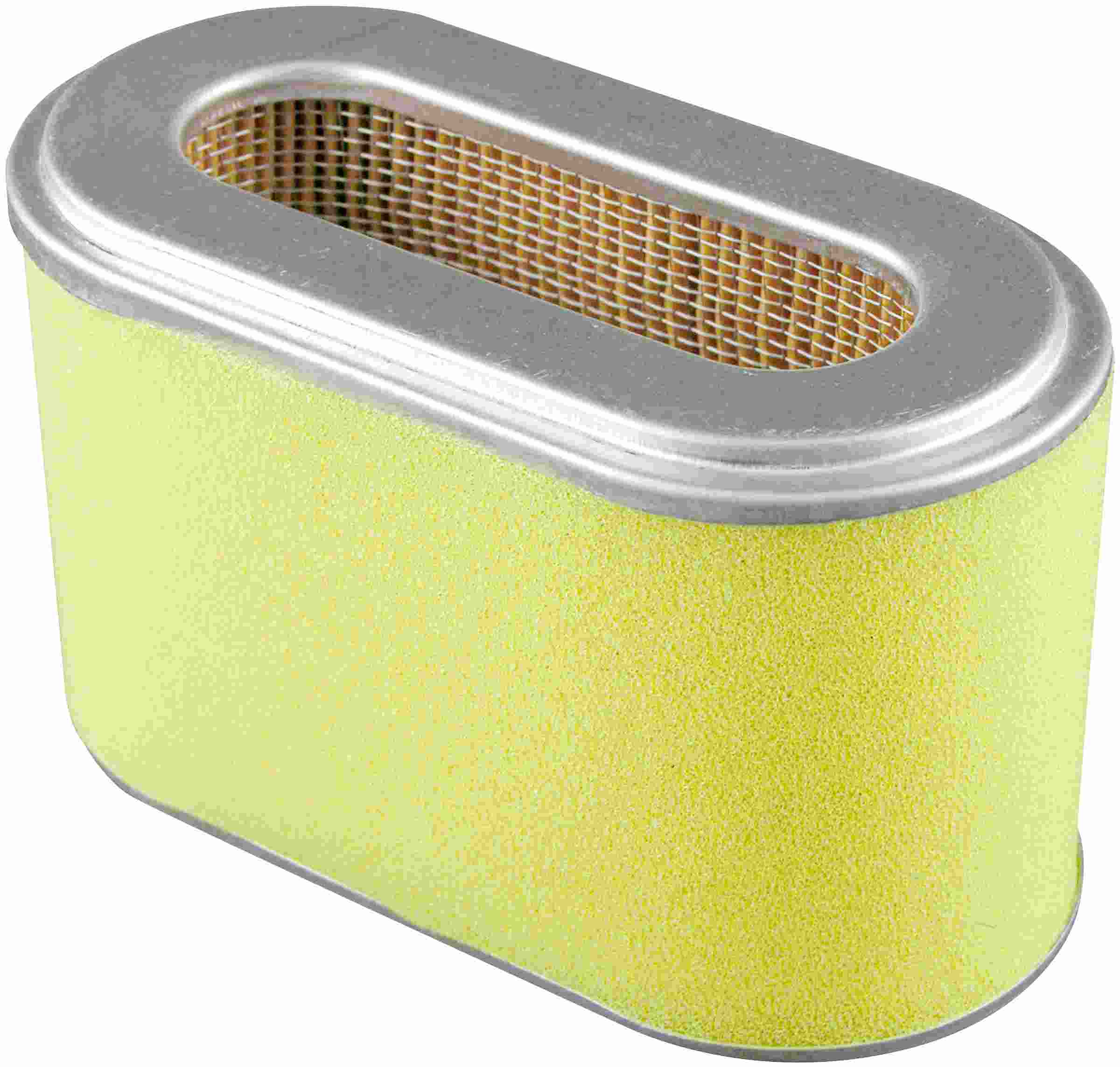 Baldwin Air Filter PA4695