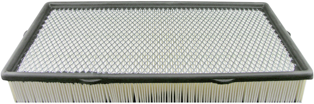 Baldwin Air Filter PA5428