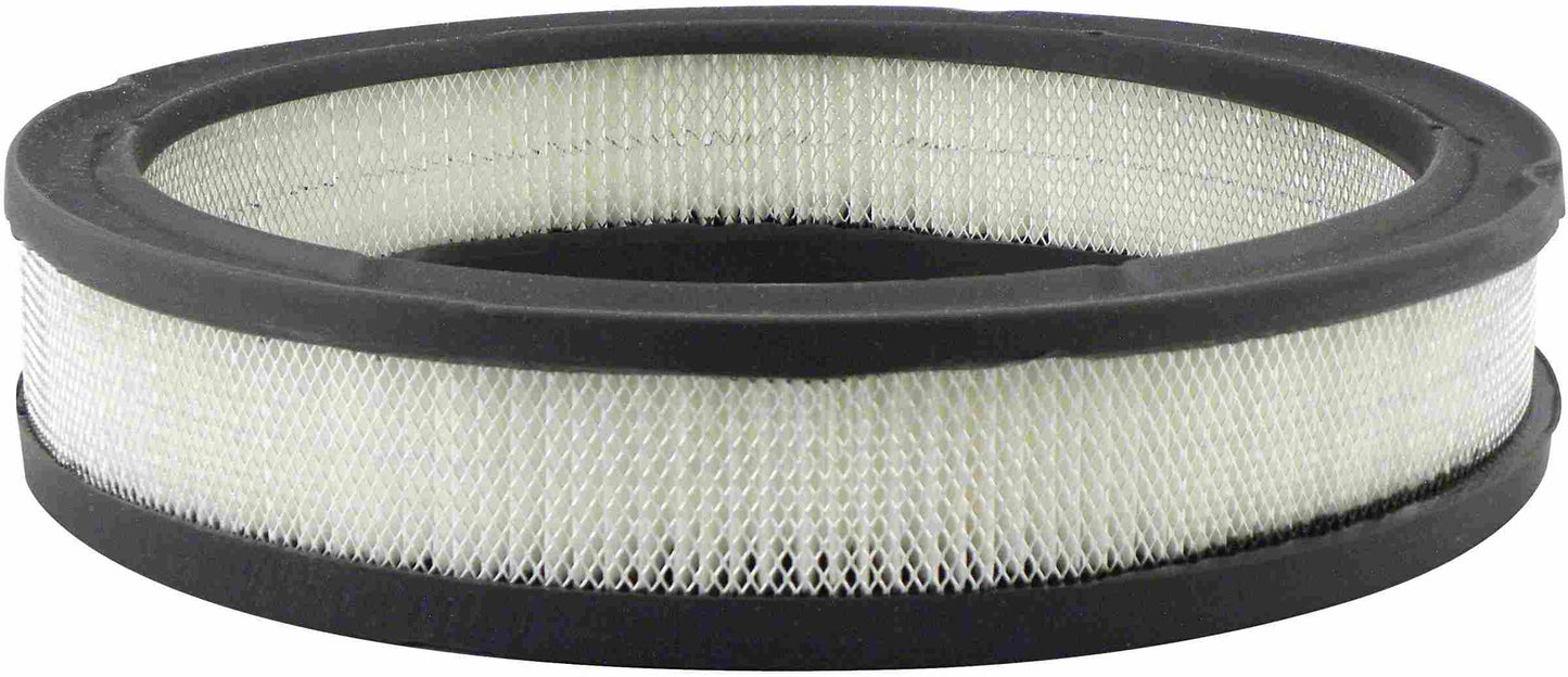 Baldwin Air Filter PA658