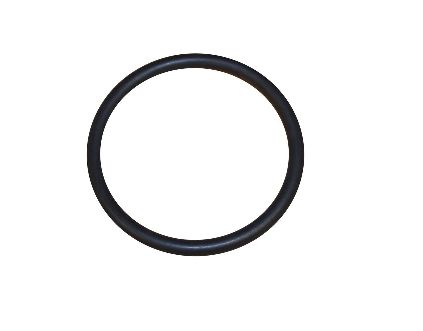 CRP Engine Water Pump O-Ring