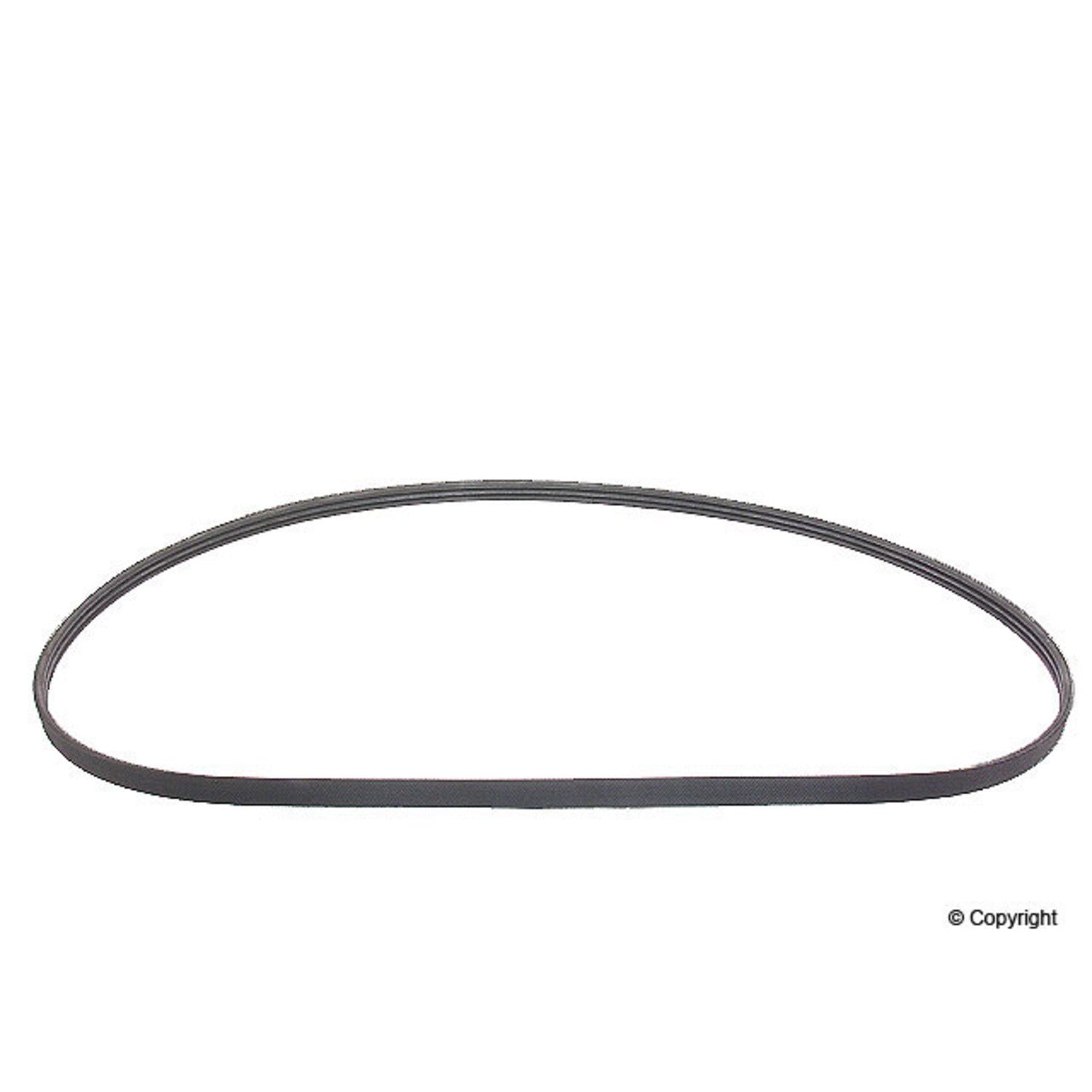 Continental Serpentine Belt