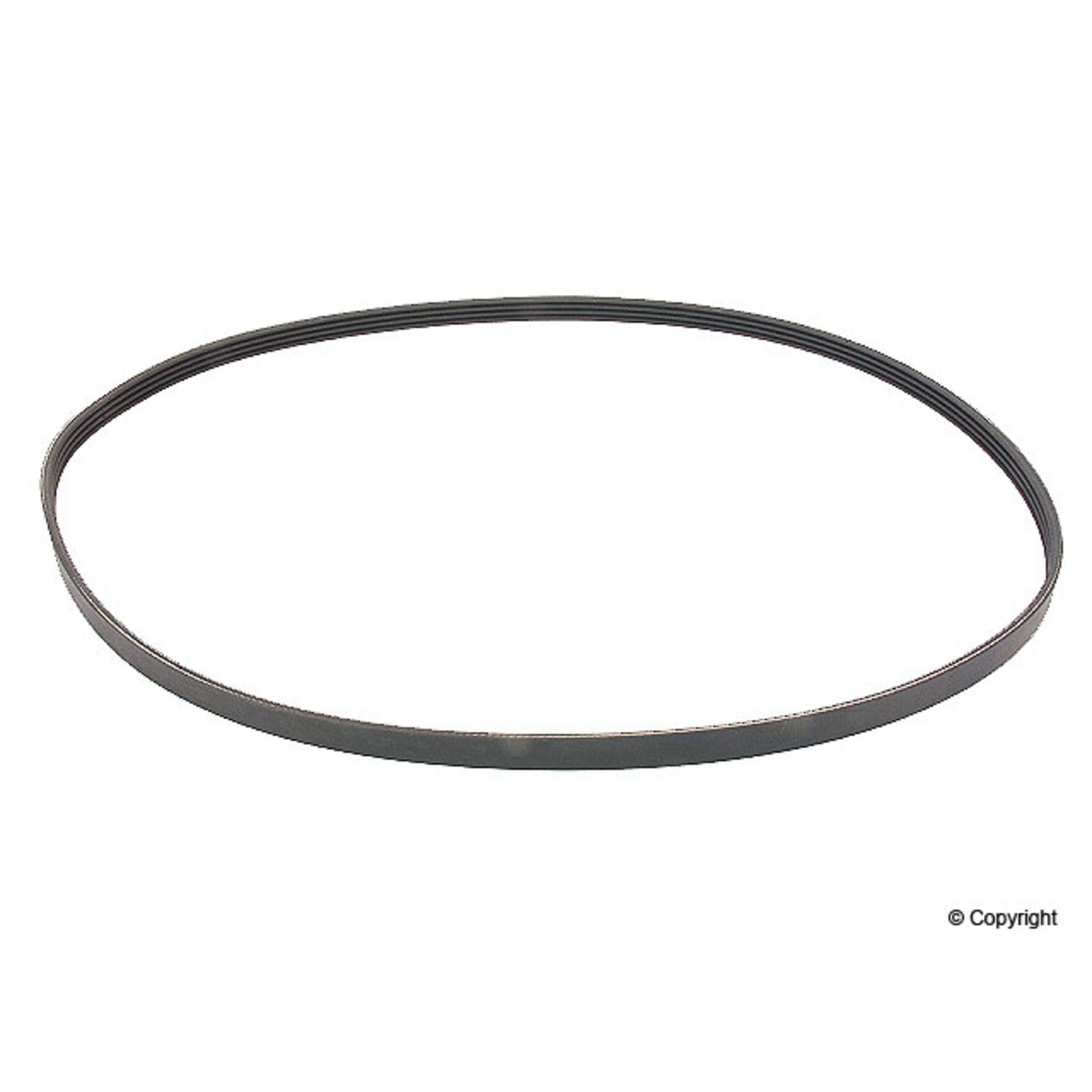 Continental Serpentine Belt