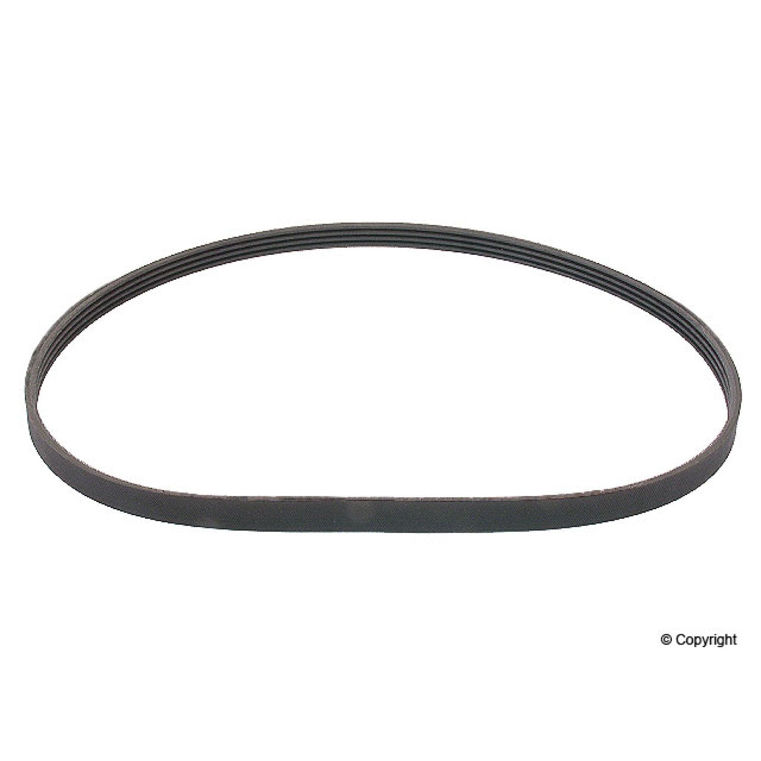 Continental Serpentine Belt