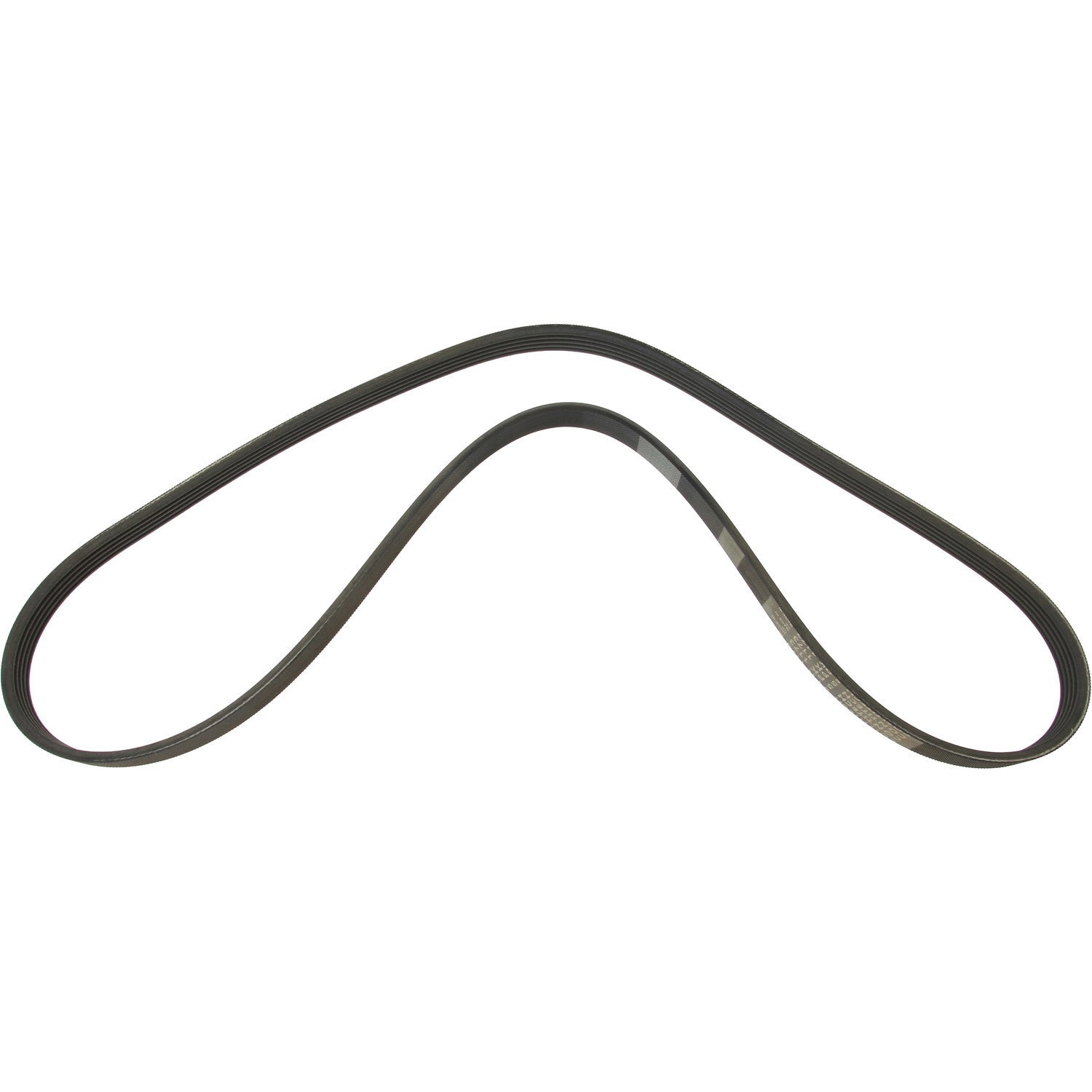 Continental Serpentine Belt