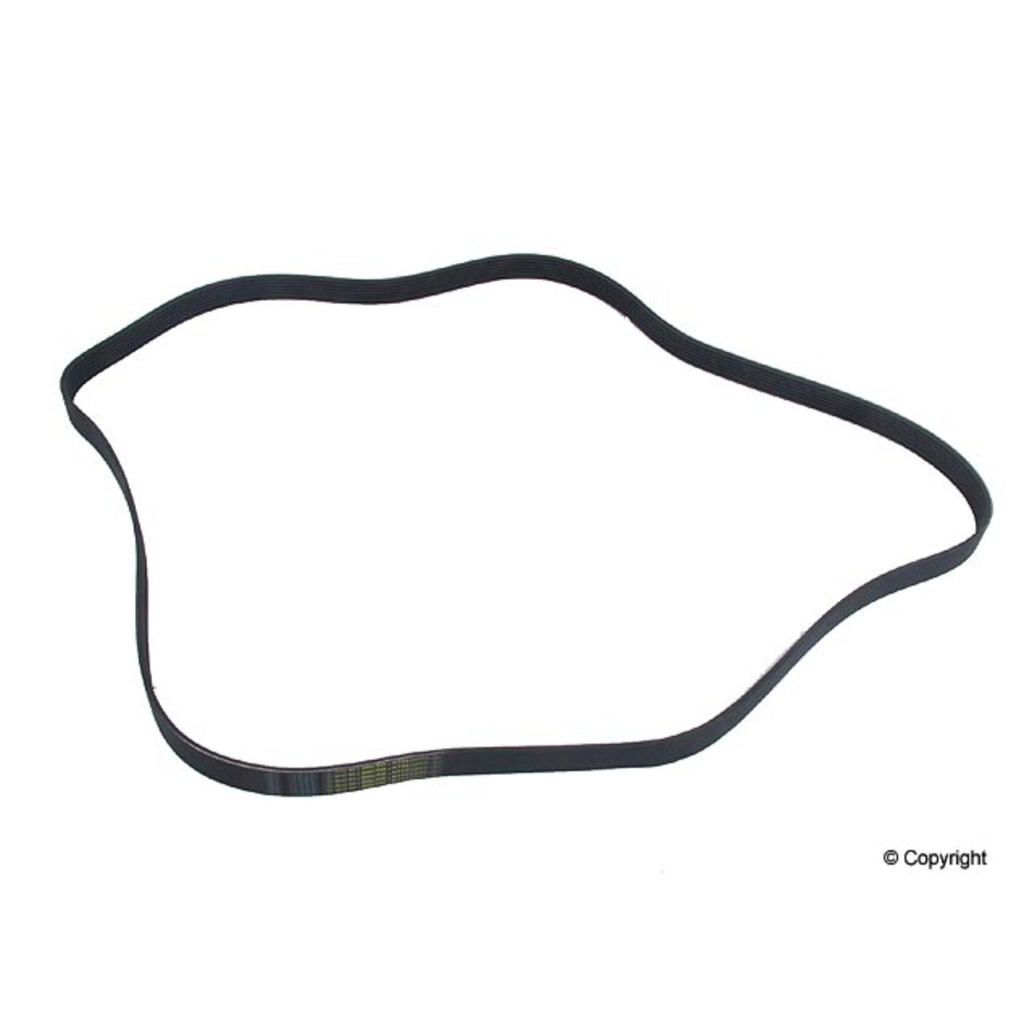 Continental Serpentine Belt