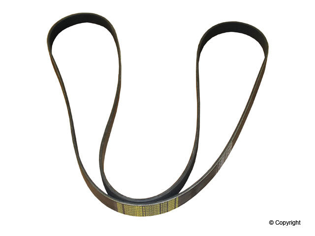 Continental Serpentine Belt
