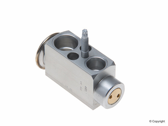 Rein A/C Expansion Valve