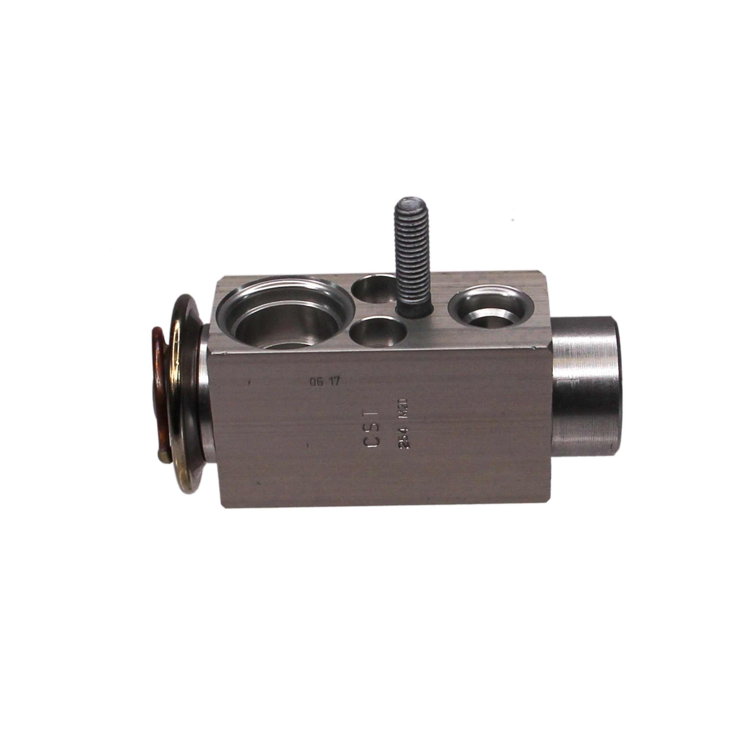 Rein A/C Expansion Valve ACX0108P