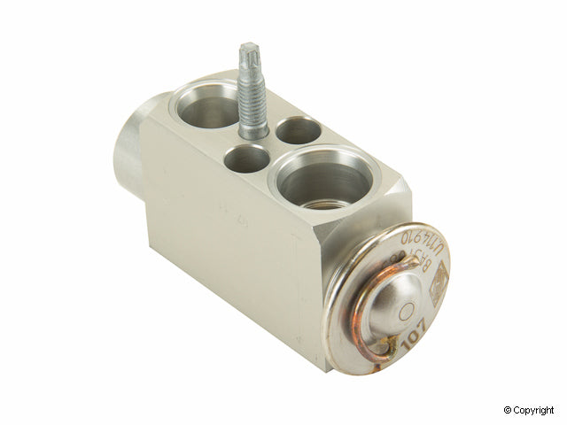 Rein A/C Expansion Valve