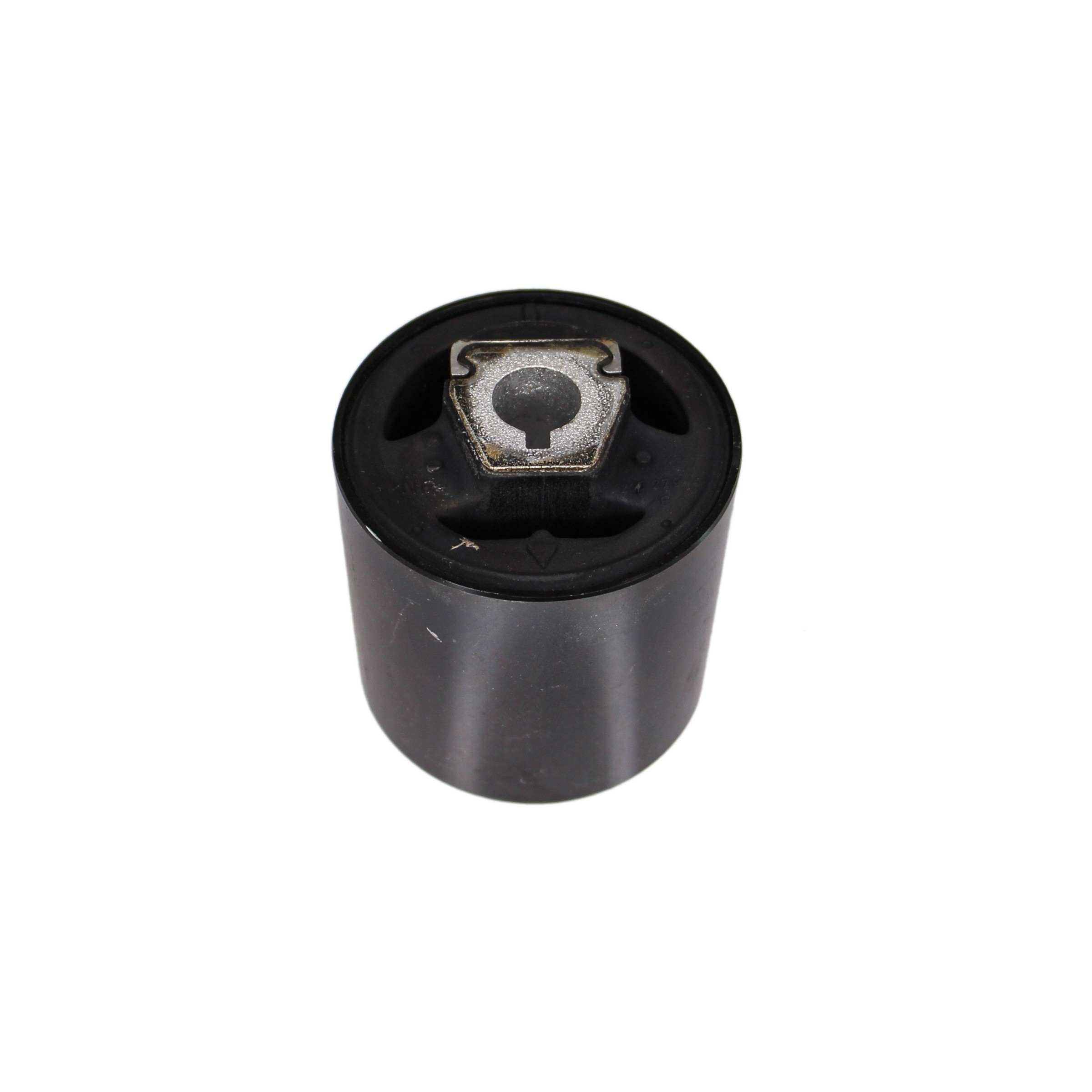 Rein Suspension Control Arm Bushing AVB0059P