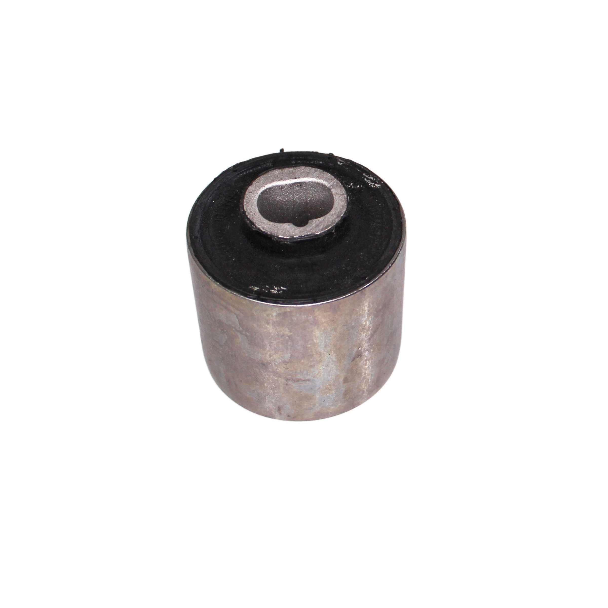 Rein Suspension Control Arm Bushing AVB0264P