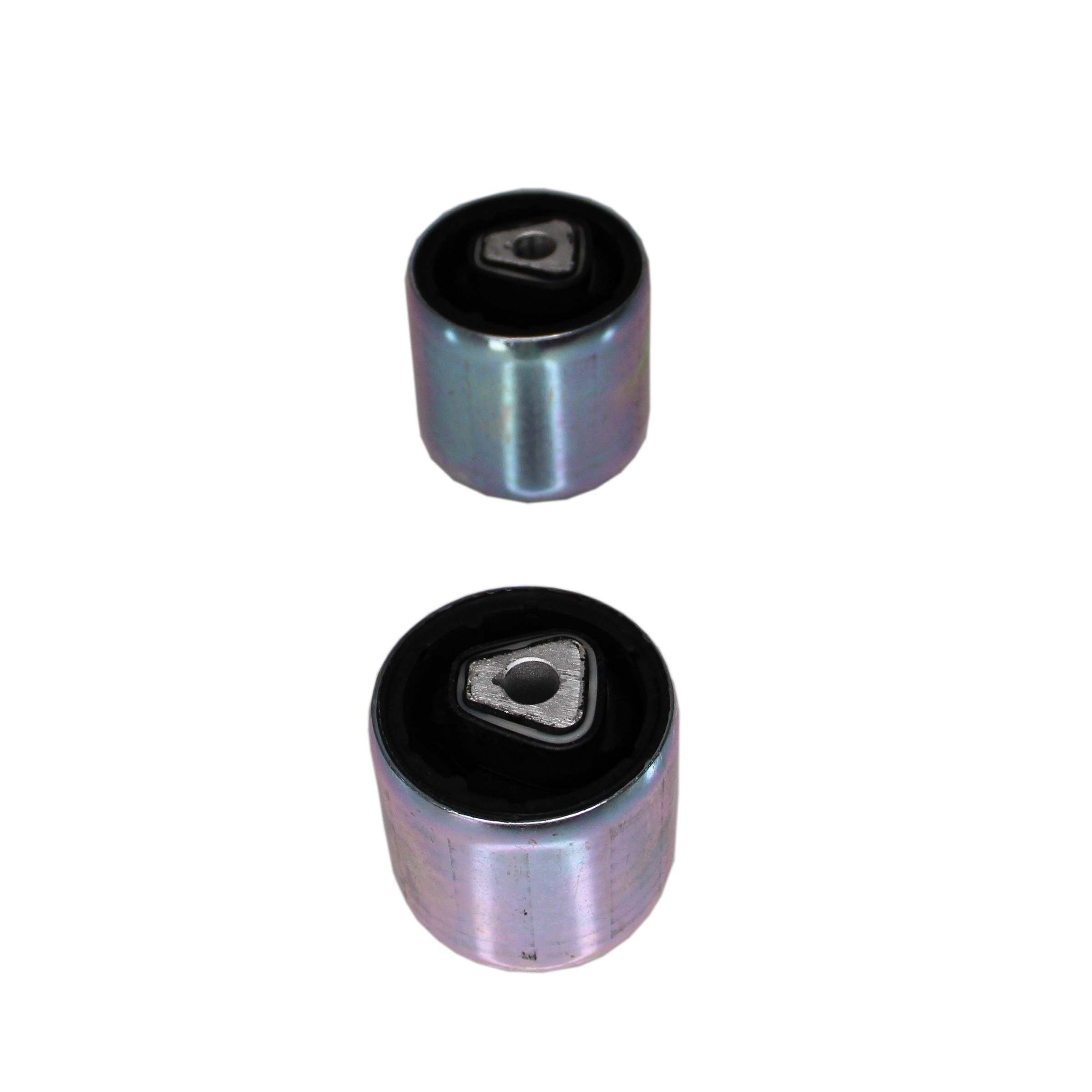 Rein Suspension Control Arm Bushing Kit AVB0442