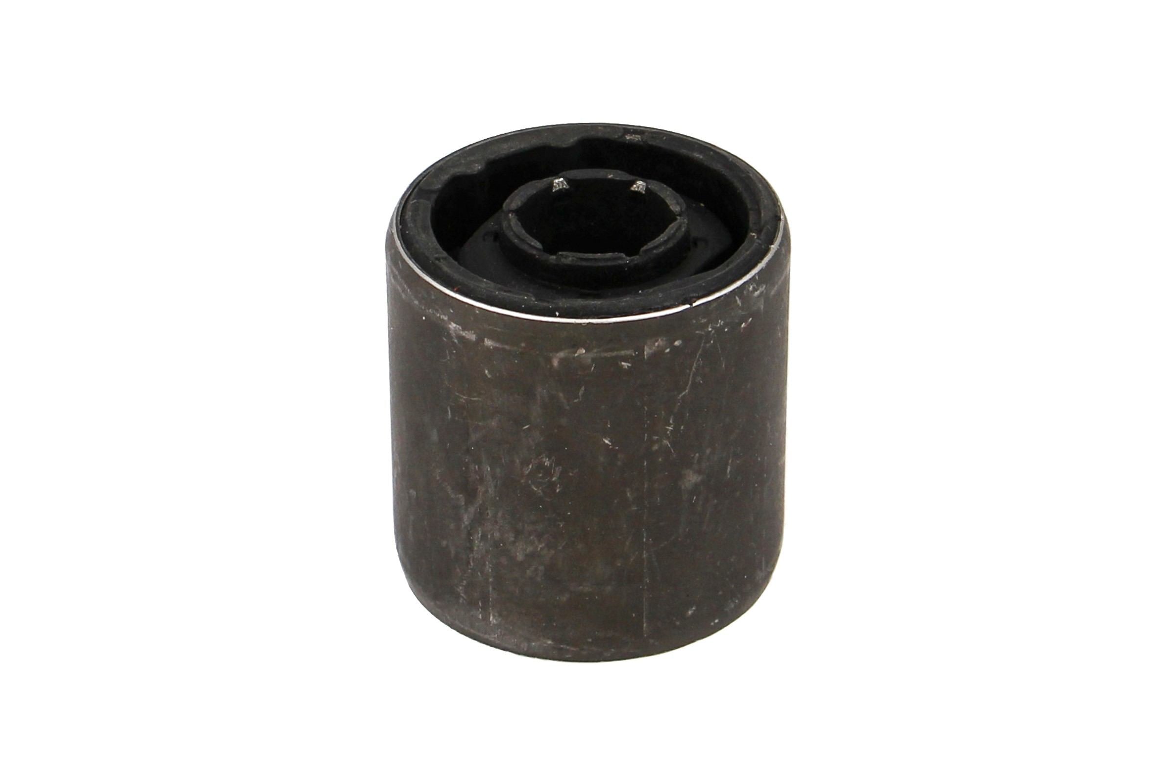 Rein Suspension Control Arm Bushing AVB0692
