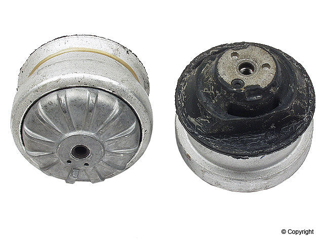 Rein Engine Mount