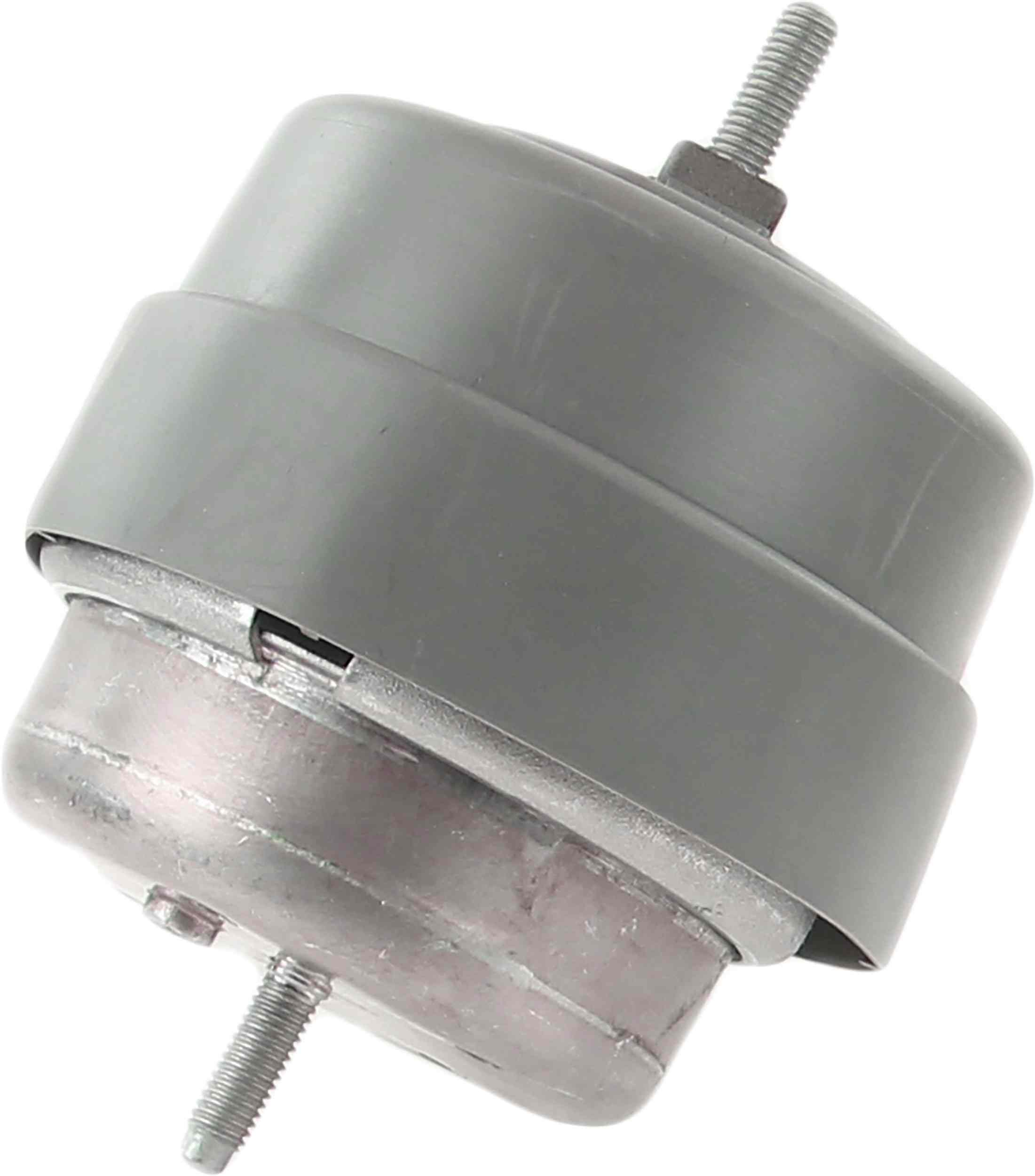 Rein Engine Mount AVE0731