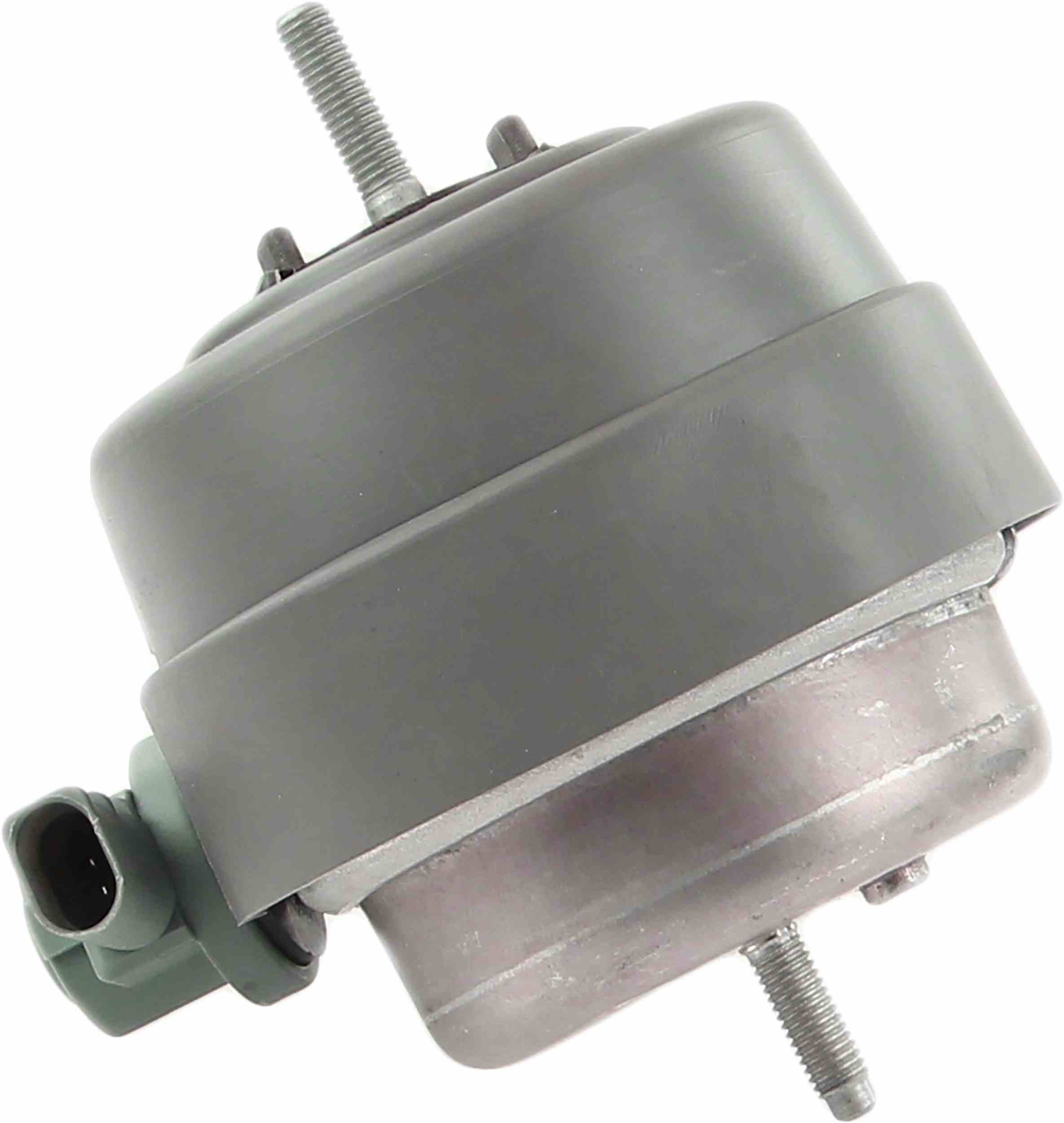 Rein Engine Mount AVE0731