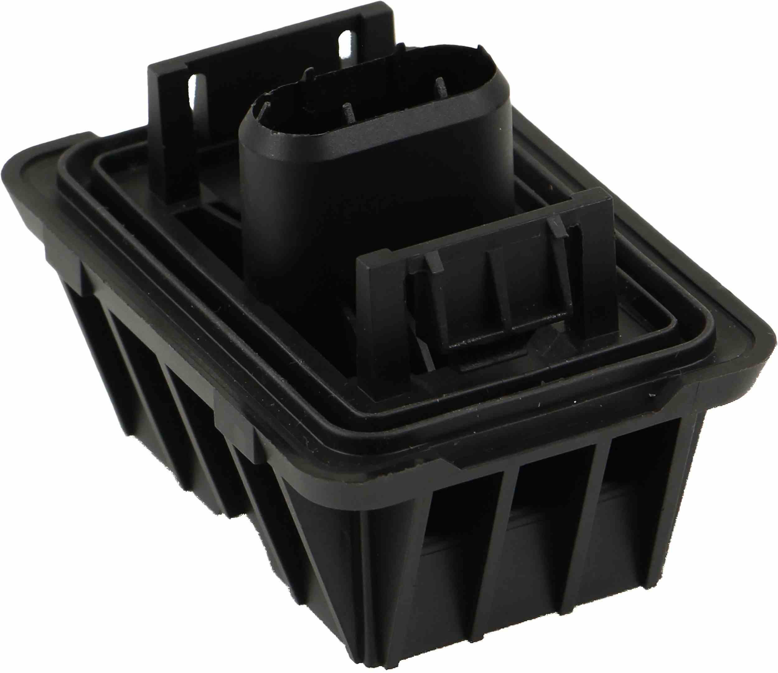 Rein Jack Plug Cover