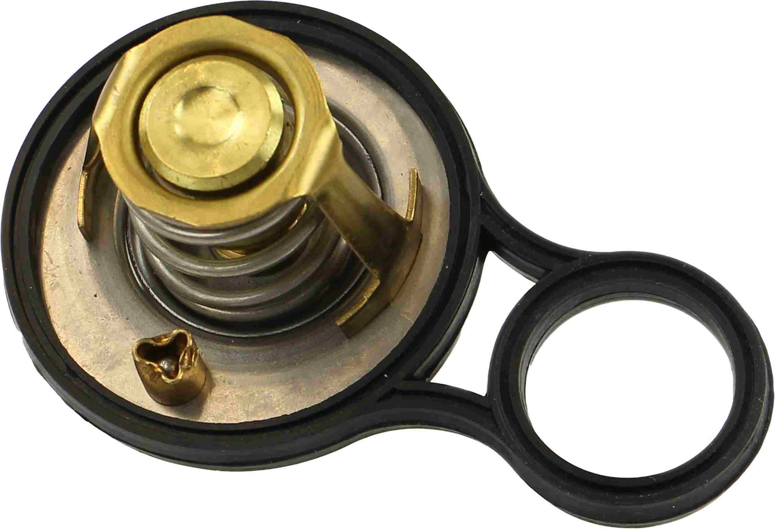 Rein Engine Coolant Thermostat Kit CTZ0043