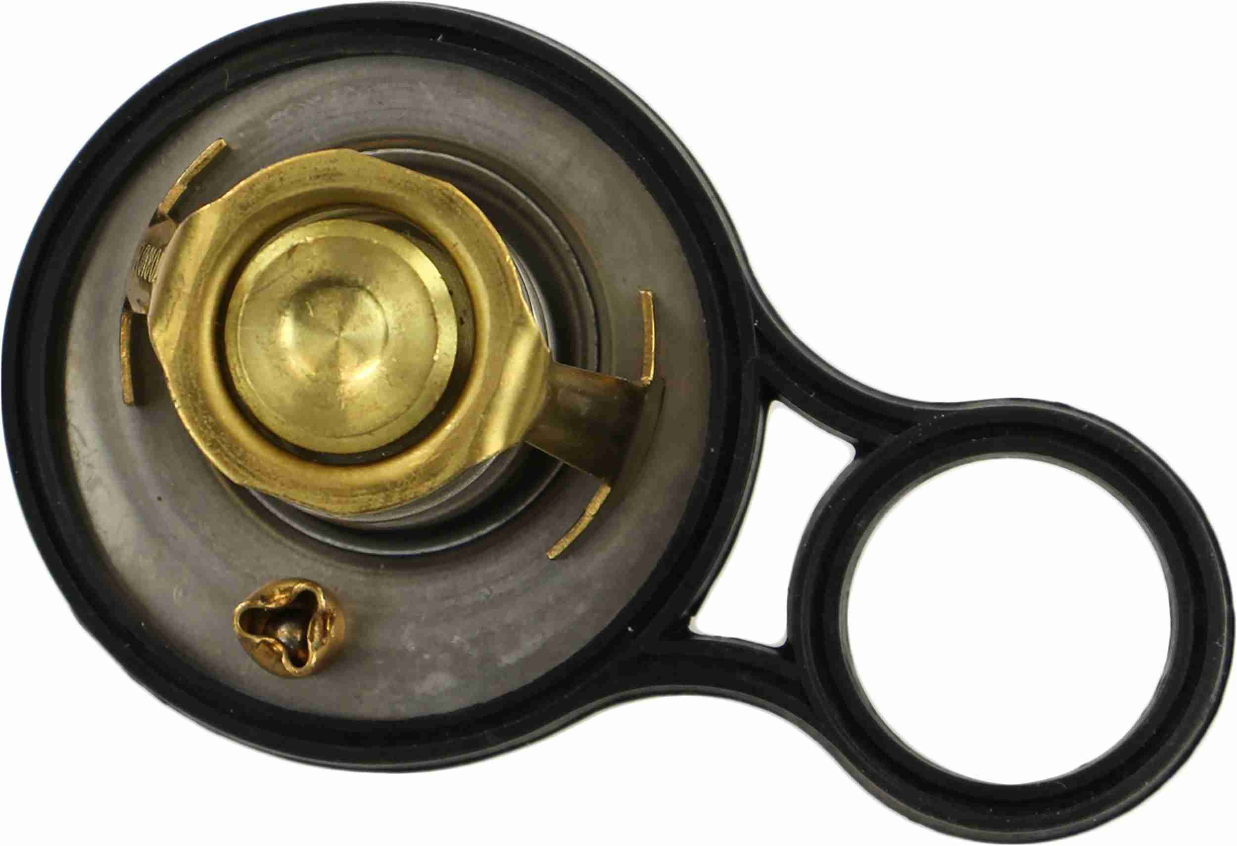 Rein Engine Coolant Thermostat Kit CTZ0043