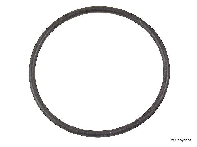 CRP Engine Water Pump O-Ring