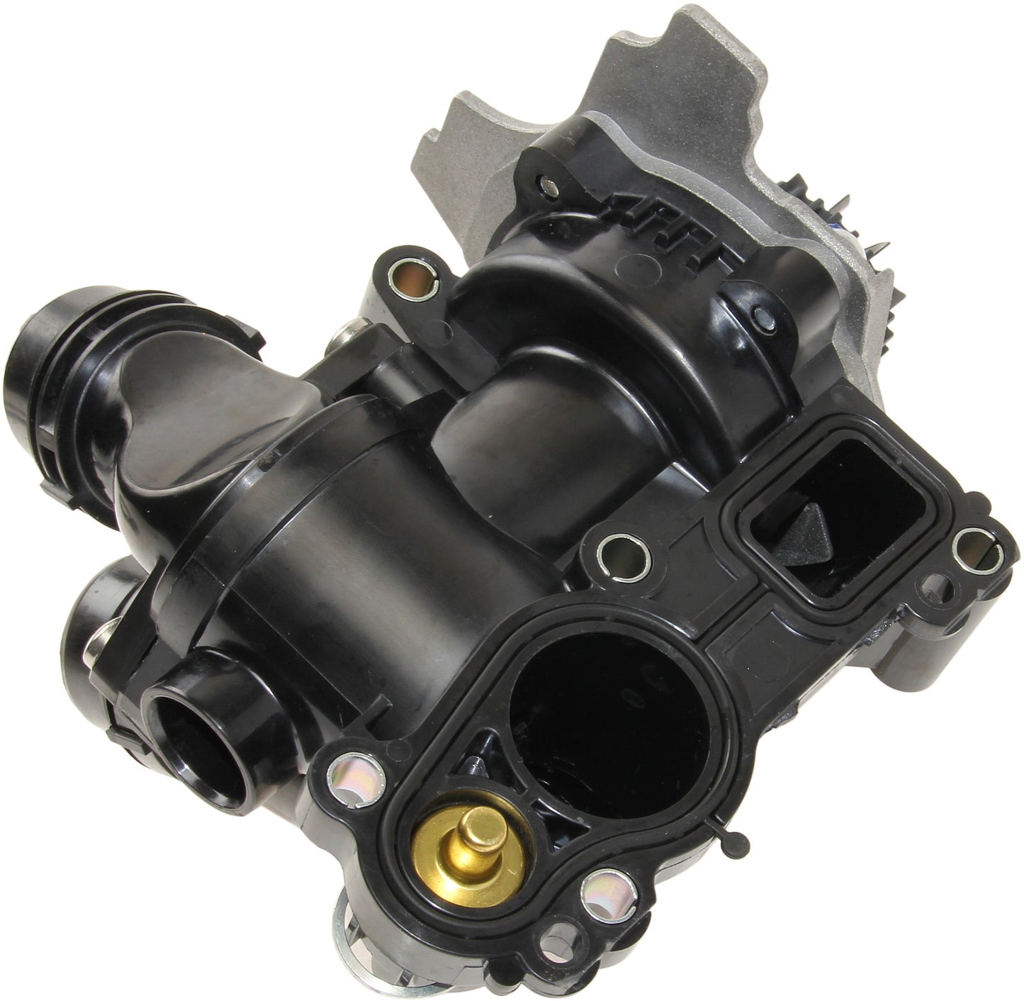 Rein Engine Water Pump WPL0016