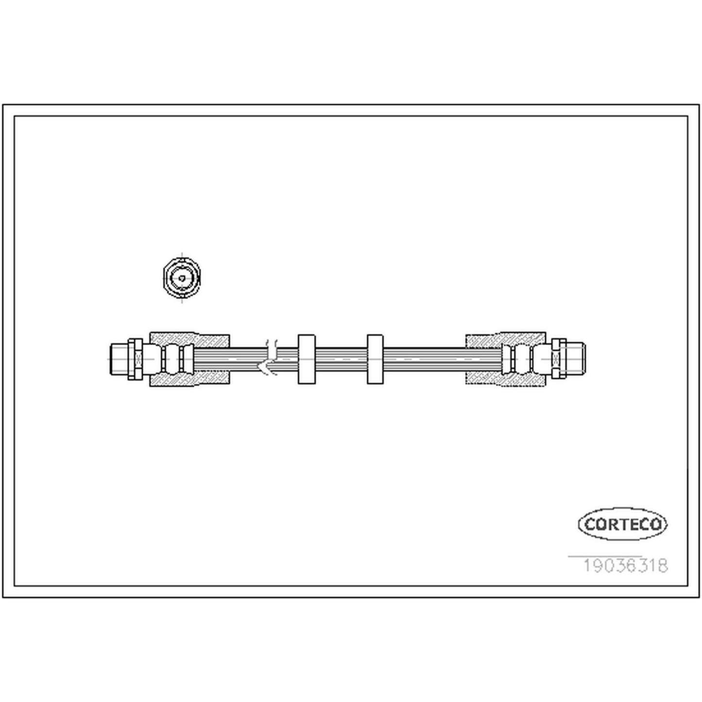 Corteco Brake Hydraulic Hose 19036318