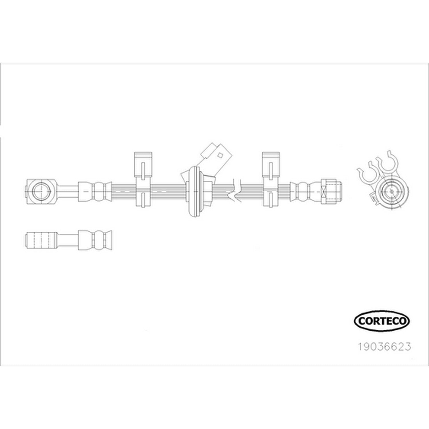 Corteco Brake Hydraulic Hose 19036623