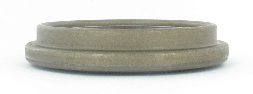 SKF Differential Pinion Seal 18706
